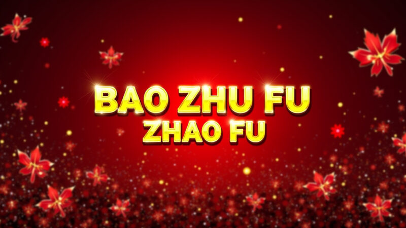 Bao Zhu Zhao Fu Slot Machine